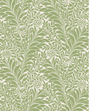 Cole & Son HONEYSUCKLE SPRING GREEN Wallpaper