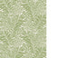 Cole & Son HONEYSUCKLE SPRING GREEN Wallpaper