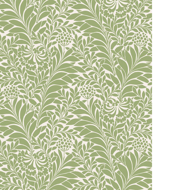 Cole & Son HONEYSUCKLE SPRING GREEN Wallpaper