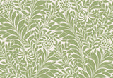 Cole & Son HONEYSUCKLE SPRING GREEN Wallpaper