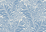 Cole & Son HONEYSUCKLE BLUE Wallpaper