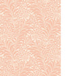 Cole & Son HONEYSUCKLE BLUSH Wallpaper