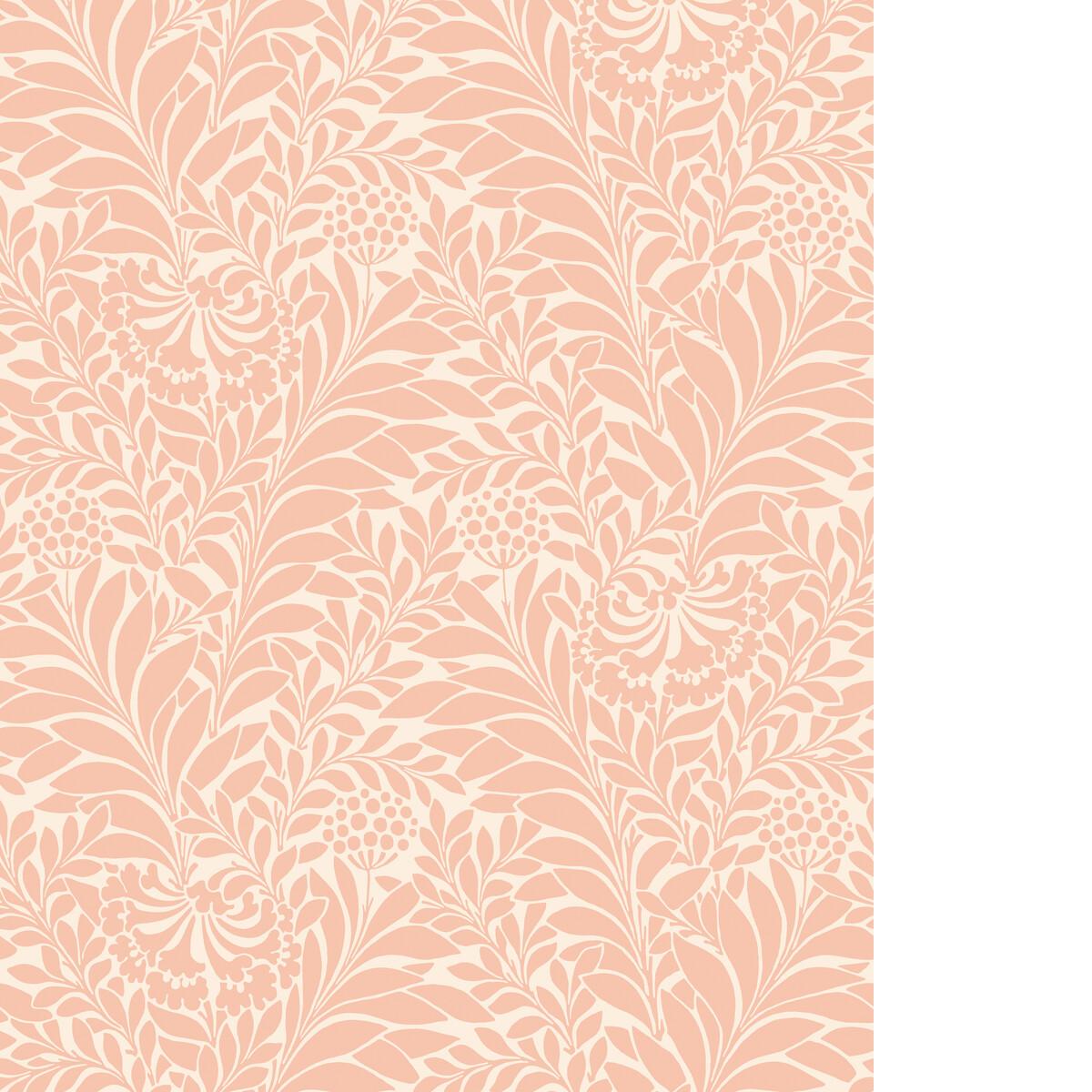 Cole & Son HONEYSUCKLE BLUSH Wallpaper