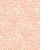 Cole & Son HONEYSUCKLE BLUSH Wallpaper