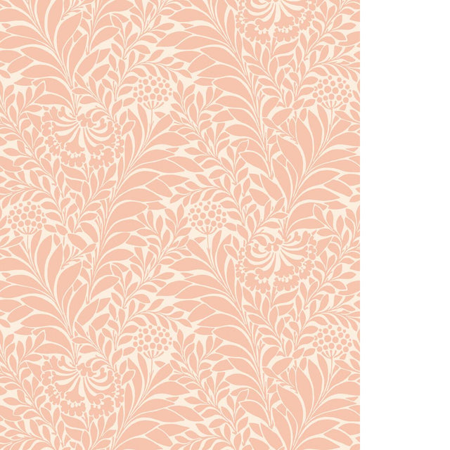 Cole & Son HONEYSUCKLE BLUSH Wallpaper