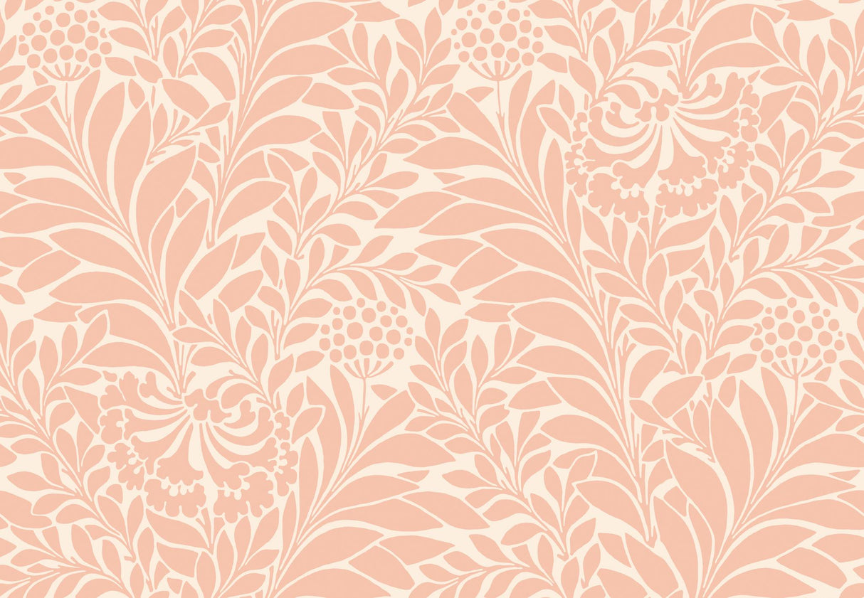 Cole & Son HONEYSUCKLE BLUSH Wallpaper