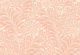 Cole & Son HONEYSUCKLE BLUSH Wallpaper
