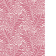 Cole & Son HONEYSUCKLE RASPBERRY Wallpaper