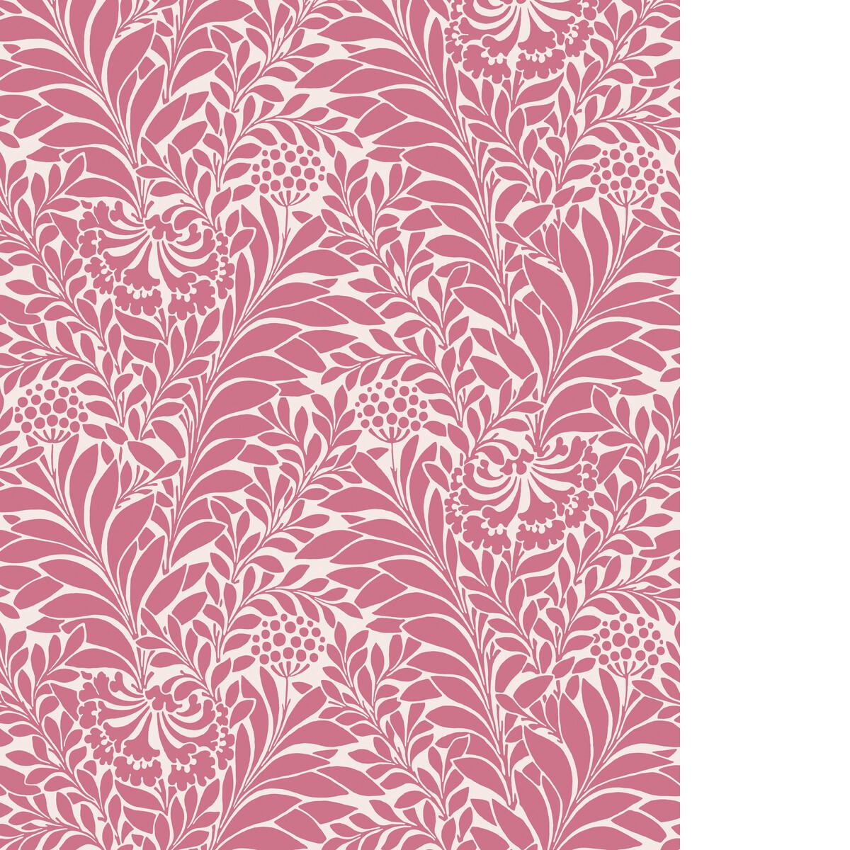 Cole & Son HONEYSUCKLE RASPBERRY Wallpaper