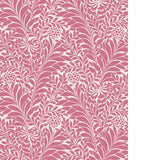 Cole & Son HONEYSUCKLE RASPBERRY Wallpaper