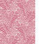 Cole & Son HONEYSUCKLE RASPBERRY Wallpaper