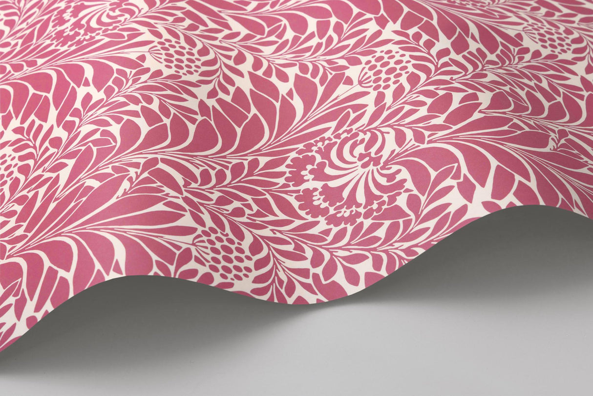 Cole & Son HONEYSUCKLE RASPBERRY Wallpaper