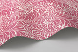 Cole & Son HONEYSUCKLE RASPBERRY Wallpaper
