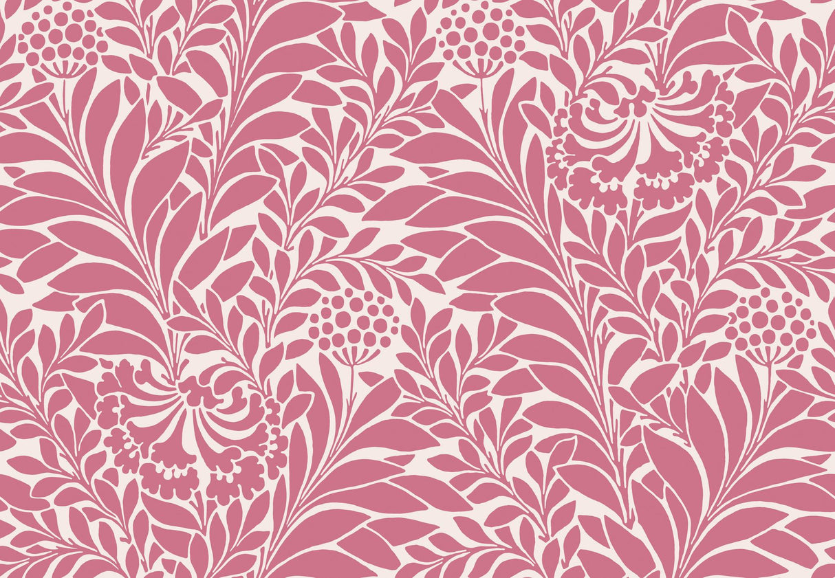Cole & Son HONEYSUCKLE RASPBERRY Wallpaper