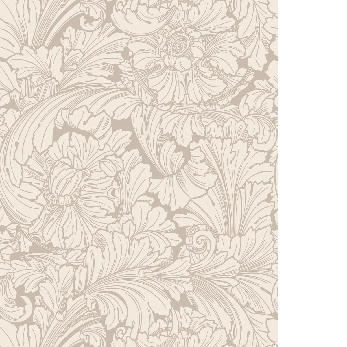 Cole & Son ACANTHUS CREAM/PEBBLE Wallpaper