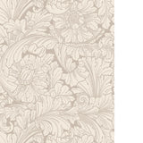 Cole & Son ACANTHUS CREAM/PEBBLE Wallpaper