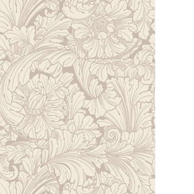 Cole & Son ACANTHUS CREAM/PEBBLE Wallpaper