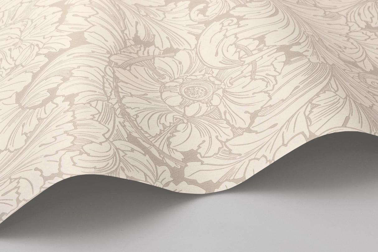 Cole & Son ACANTHUS CREAM/PEBBLE Wallpaper