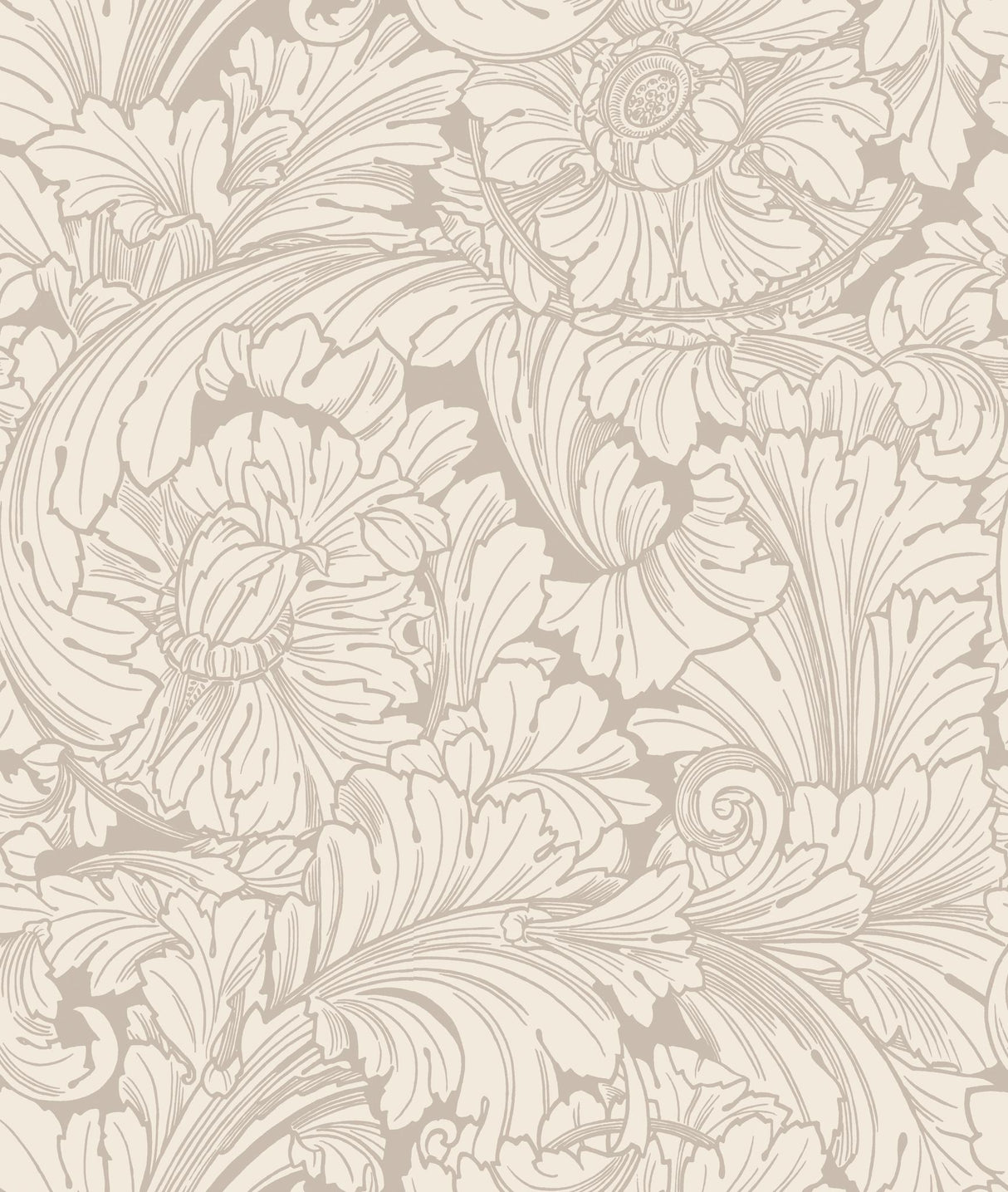 Cole & Son ACANTHUS CREAM/PEBBLE Wallpaper