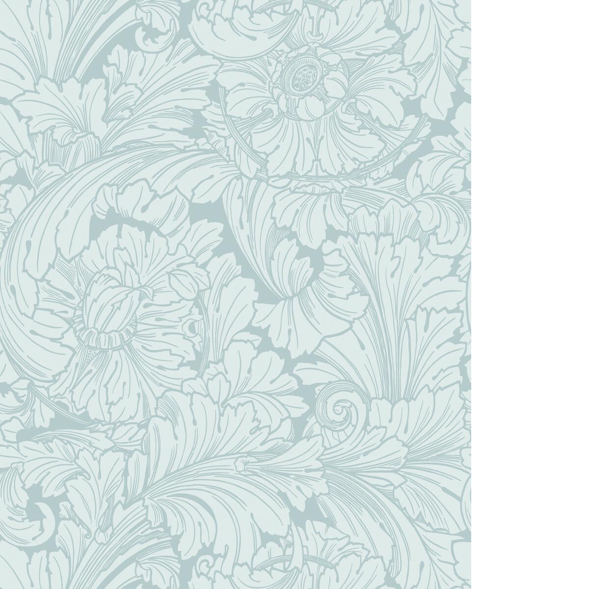 Cole & Son ACANTHUS PRINT ROOM BLUE Wallpaper