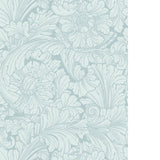 Cole & Son ACANTHUS PRINT ROOM BLUE Wallpaper
