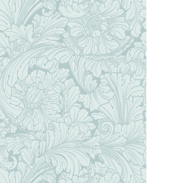 Cole & Son ACANTHUS PRINT ROOM BLUE Wallpaper