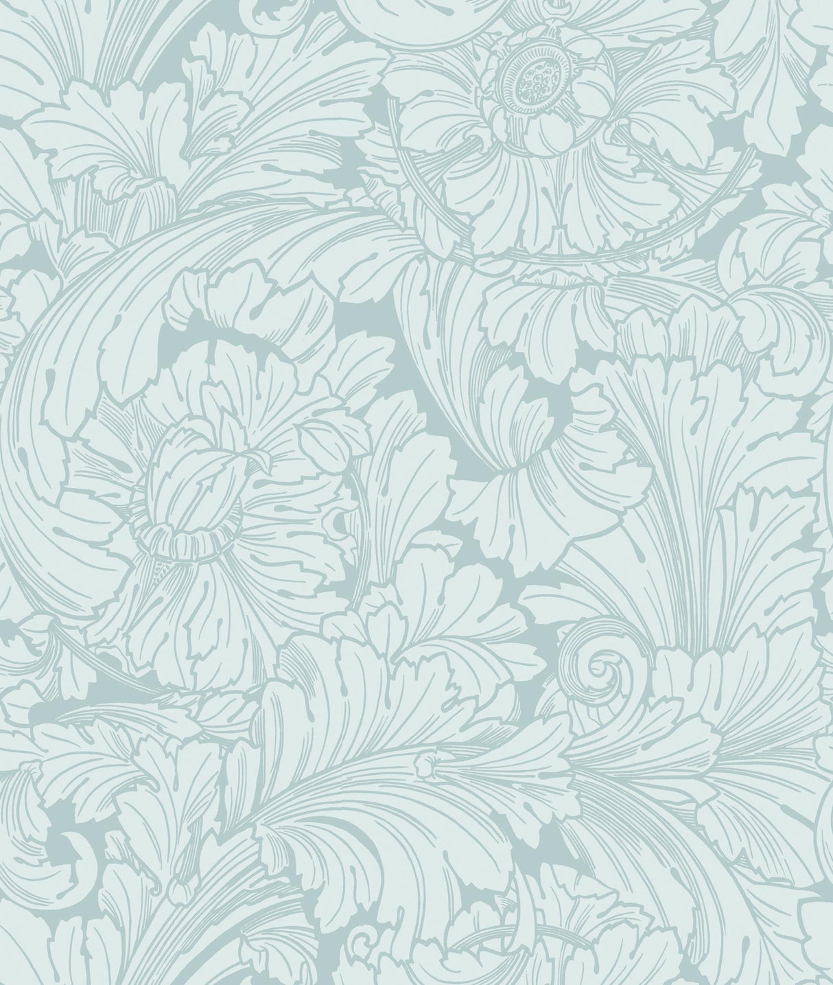Cole & Son ACANTHUS PRINT ROOM BLUE Wallpaper