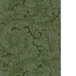 Cole & Son ACANTHUS FOREST Wallpaper