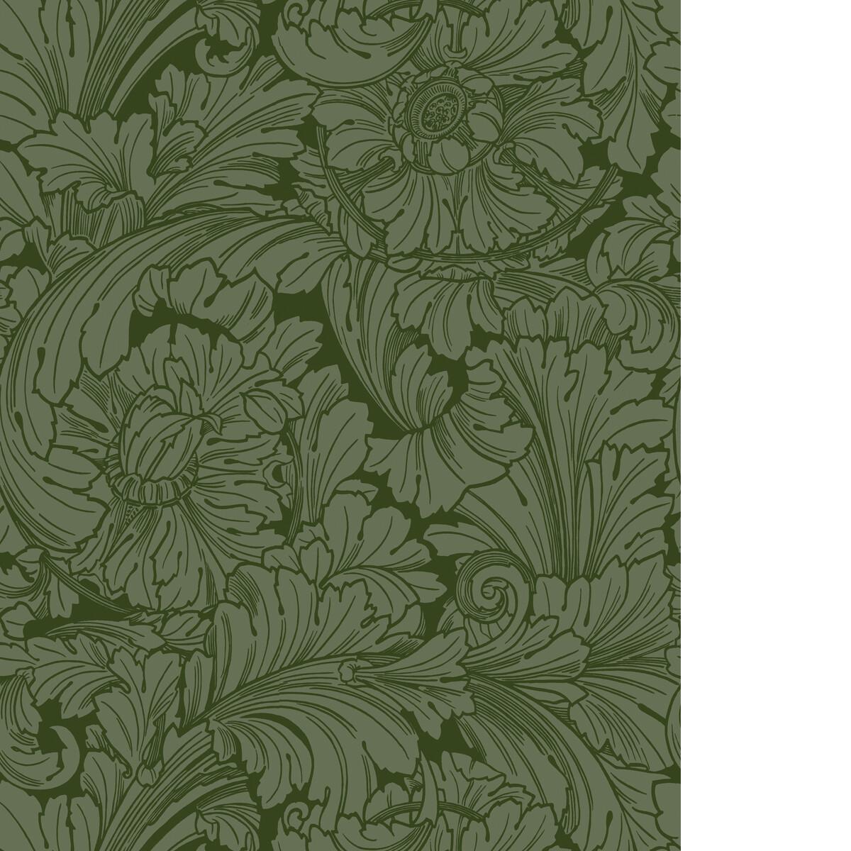 Cole & Son ACANTHUS FOREST Wallpaper