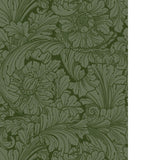 Cole & Son ACANTHUS FOREST Wallpaper
