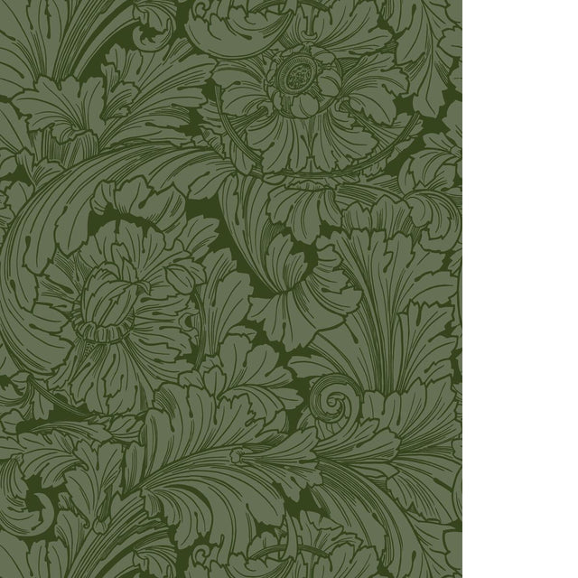 Cole & Son ACANTHUS FOREST Wallpaper