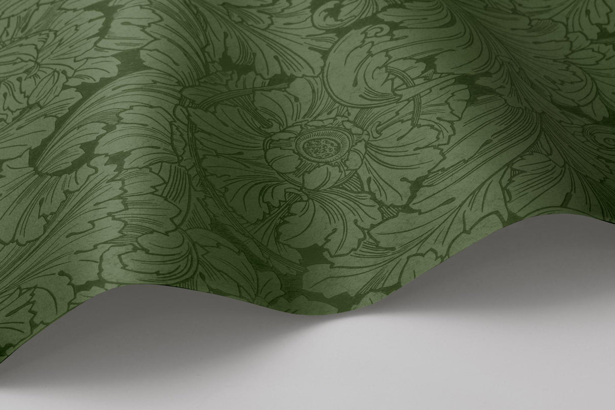Cole & Son ACANTHUS FOREST Wallpaper