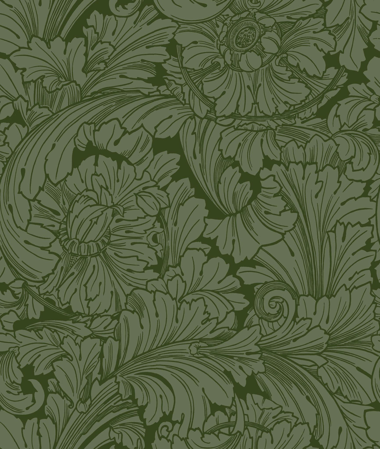 Cole & Son ACANTHUS FOREST Wallpaper