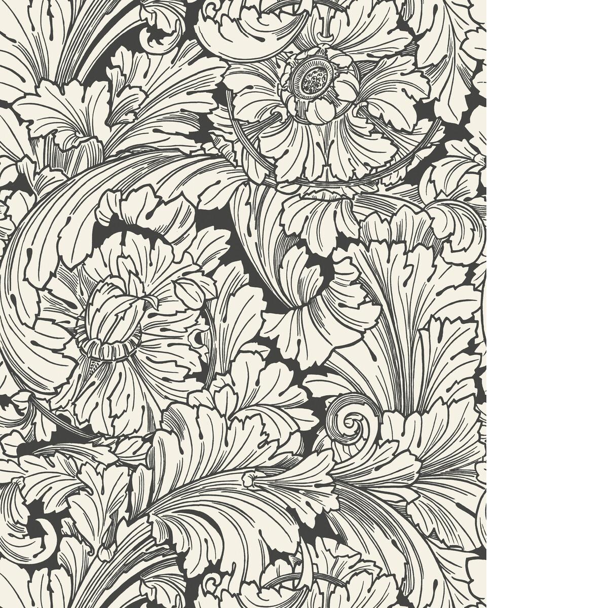 Cole & Son ACANTHUS SOOT/SNOW Wallpaper