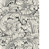 Cole & Son ACANTHUS SOOT/SNOW Wallpaper