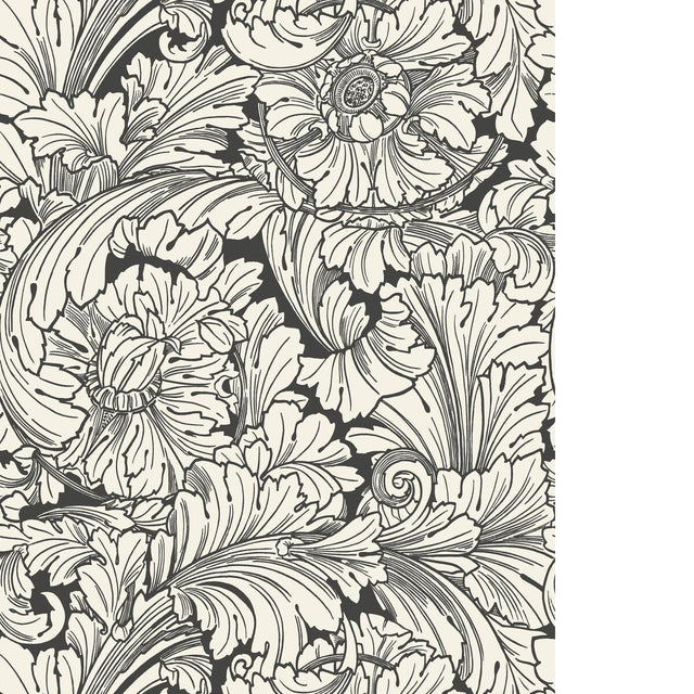 Cole & Son ACANTHUS SOOT/SNOW Wallpaper