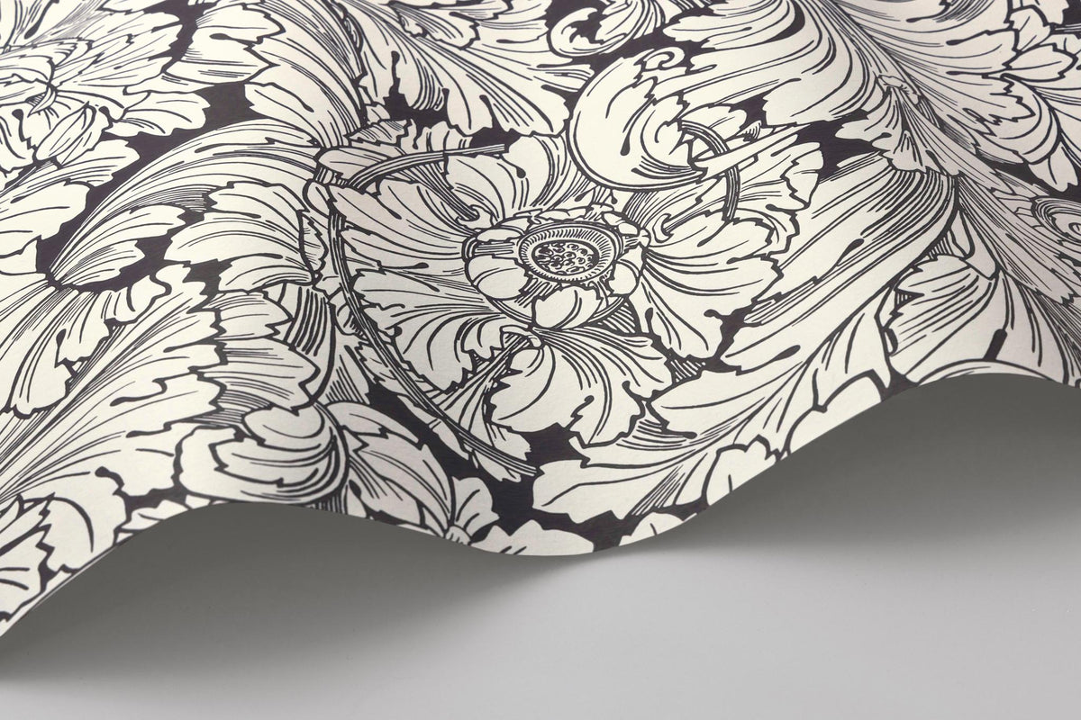 Cole & Son ACANTHUS SOOT/SNOW Wallpaper