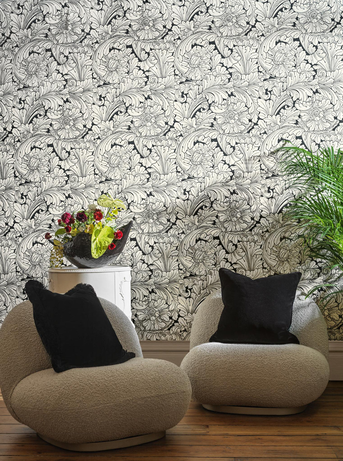 Cole & Son ACANTHUS SOOT/SNOW Wallpaper