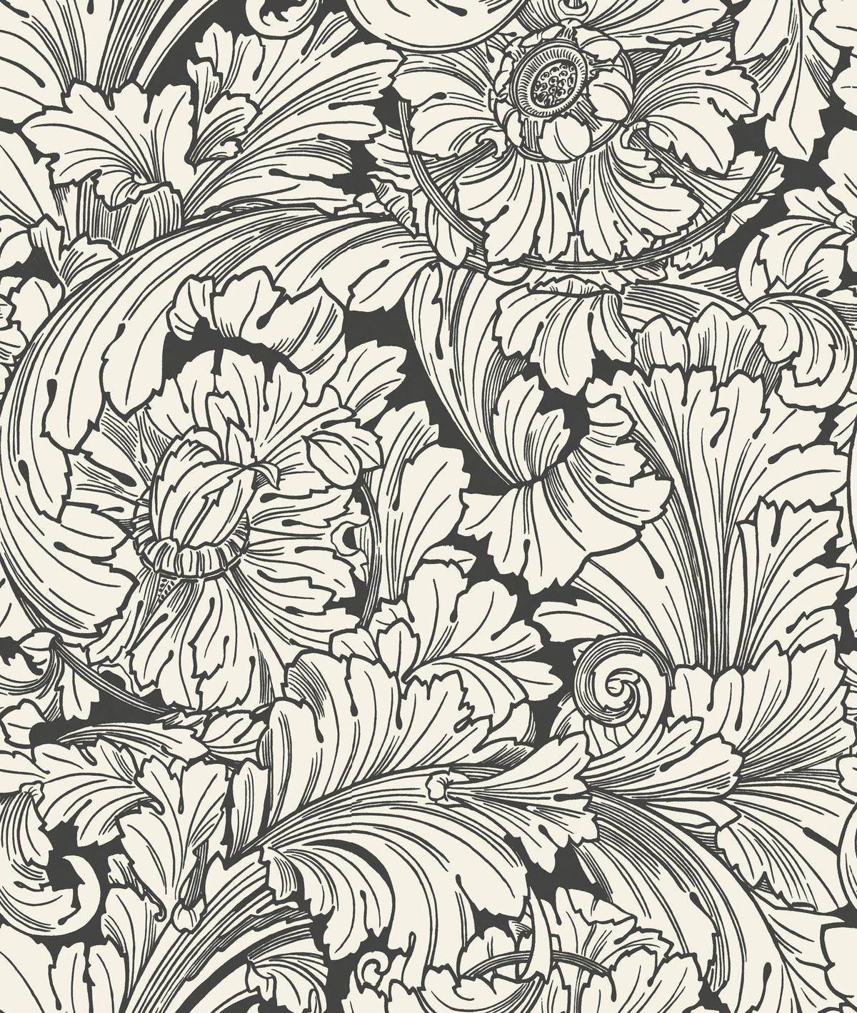 Cole & Son ACANTHUS SOOT/SNOW Wallpaper