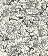 Cole & Son ACANTHUS SOOT/SNOW Wallpaper