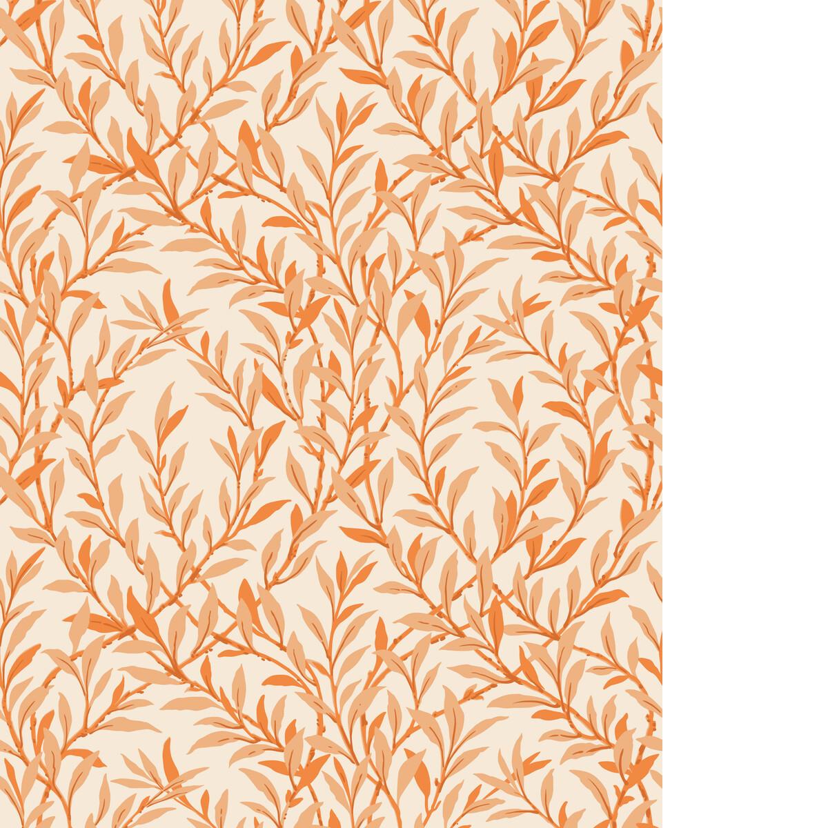 Cole & Son WILLOW BRANCH TANGERINE/CREAM Wallpaper