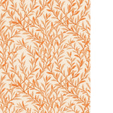 Cole & Son WILLOW BRANCH TANGERINE/CREAM Wallpaper
