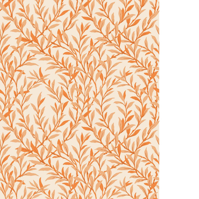 Cole & Son WILLOW BRANCH TANGERINE/CREAM Wallpaper
