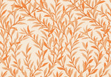 Cole & Son WILLOW BRANCH TANGERINE/CREAM Wallpaper