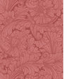 Cole & Son ACANTHUS STATELY HOME RED Wallpaper