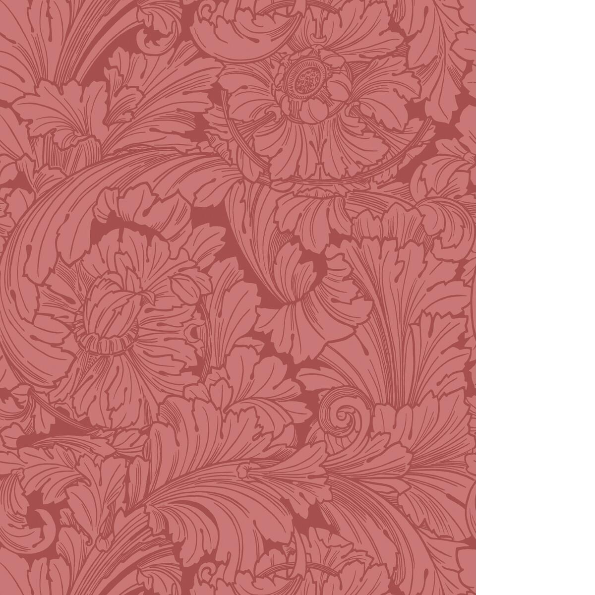 Cole & Son ACANTHUS STATELY HOME RED Wallpaper