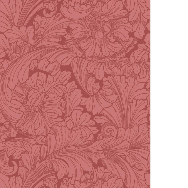 Cole & Son ACANTHUS STATELY HOME RED Wallpaper