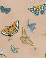 Kravet BUTTERFLIES 01 Wallpaper