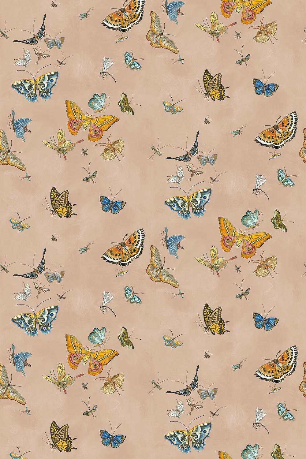 Kravet BUTTERFLIES 01 Wallpaper