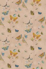 Kravet BUTTERFLIES 01 Wallpaper